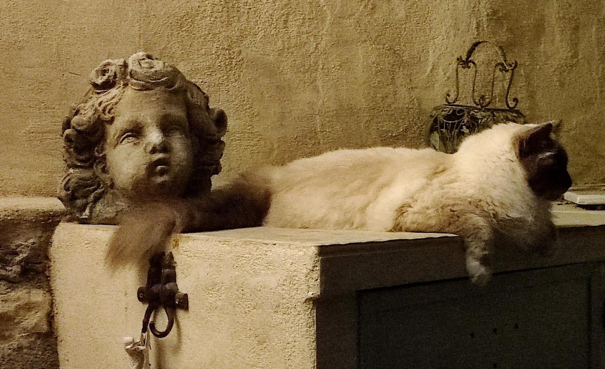 Le Chat Sur Le Toit Лурмарин Экстерьер фото